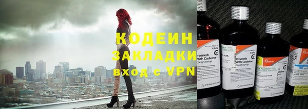 индика Абаза