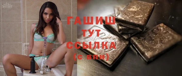 индика Абаза