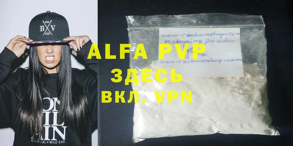 индика Абаза