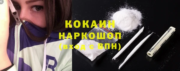 индика Нягань