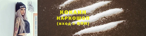 индика Абаза