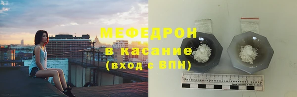 индика Абаза