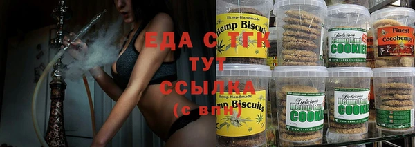 индика Абаза